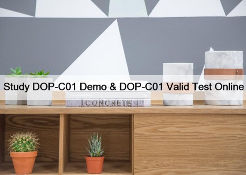 Study DOP-C01 Demo & DOP-C01 Valid Test Online